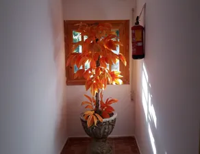 Hostal Rural Valverde - Image 2