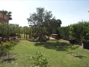 Finca Vale - Image 3