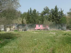 The Olive Yard House - Image 3