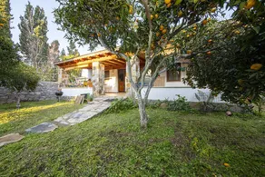 Invigorating Home Surrounded by Nature in Gumusluk - Image 4