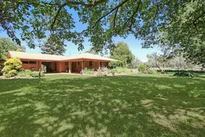 Merrivale Nut Groves - Image 4