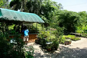 Paradise Ranch Eco Tourism Park - Image 5