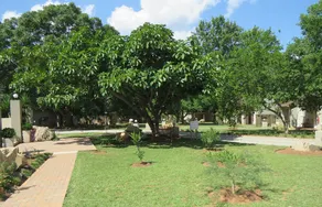 Monkey Thorn Guest Lodge - Image 2