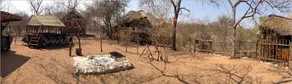Ximongwe River Camp - Image 3