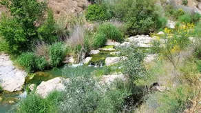 3 bedrooms house with shared pool terrace and wifi at Alcaudete - Image 4
