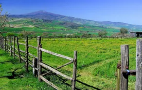 Beautiful Home in Montegiovi With Wifi and 2 Bedrooms - Image 5