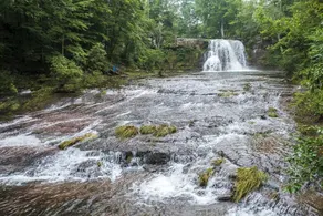 Tentrr - Purling Waters at Tumblin' Falls - Campsite - Image 4