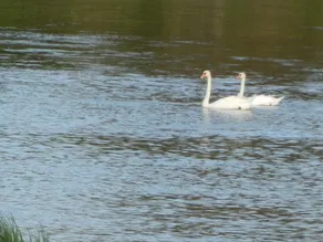 Accommodation With Exceptional Views of the Loire - Image 4