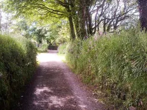 Goose Cottage - Image 2