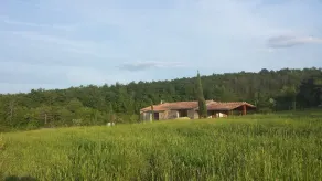 Agricampeggio Madonna di Pogi - Image 2