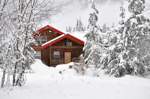 Money Creek Lodge - Five Bedroom Cabin with Hot Tub - Image 3