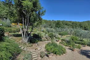 Bigiolo a Melazzano - Image 4