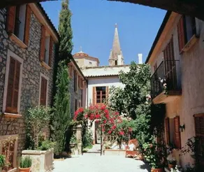 Scott's - Image 3