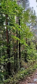 Hospederia Locubin - Image 2