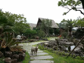 Jeju Yangtte Farm - Image 3