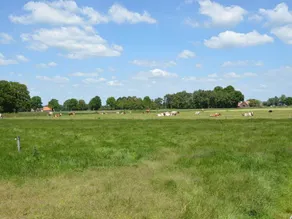 Pretty Farmhouse in Haaksbergen Near Forest - Image 5
