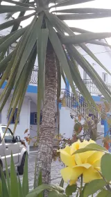 Spasmata Apartments - Image 2