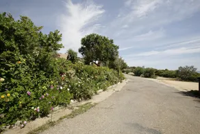 Free Beach Apartments - Image 3