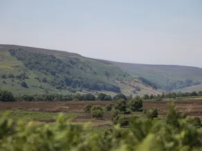Langhill Holiday Cottages - Image 4
