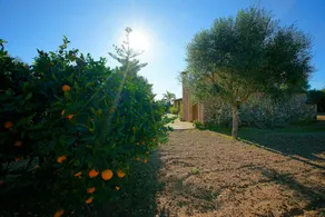 Bou Ros Finca Can Nadal - Image 4