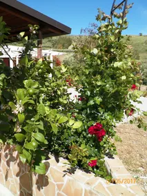 Agriturismo Colle Del Sindaco - Image 4