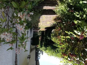 La Rosetta B&B - Image 3