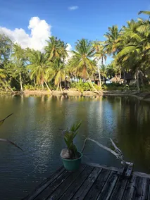 Pension Aotera - Image 3