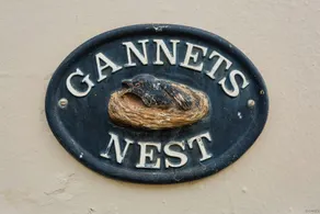 Appledore Gannets Nest - Image 2