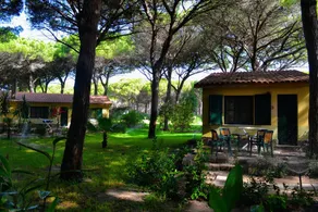 15 Ala Birdi Cottage 150m From The Beach - Image 3