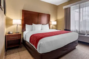 Comfort Inn DFW Airport North - Image 3
