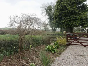 Pastures New - Image 5