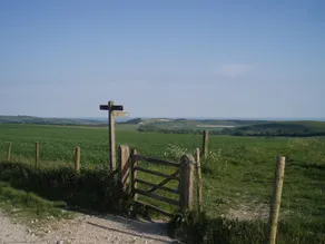 Oakwood - Image 3