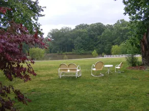 Meadow View Farm - Image 4