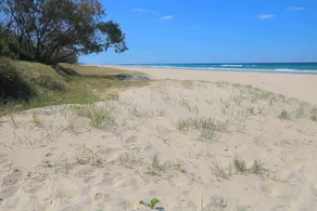 Casuarina Beach Haven - Pandanus 6 - Image 5