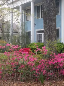 Spahn House Bed & Breakfast - Image 5