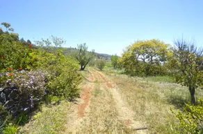 Casa Rural El Jócamo by Isla Bonita - Image 5