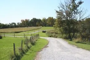 Songbird Prairie Bed and Breakfast - Image 3