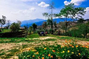 Hotel Mount Paradise - Image 5