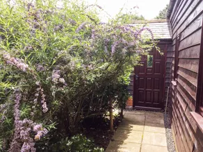 Holly Cottage - Image 5