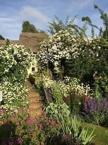 Thatched Cottage B&B - Image 3