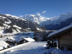 Rott li OG Lenk in Lenk - Image 3