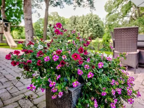 Restful Holiday Home in Veendam with Private Terrace - Image 5