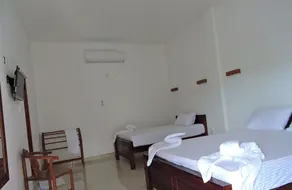 Guest at Polonnaruwa - Image 4