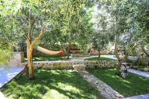 House Bongo - Image 2