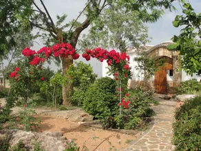 Casa Rural El Cuartico - Image 3