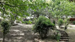 Appartamento Incantevole In Villa Dell800 - Image 4