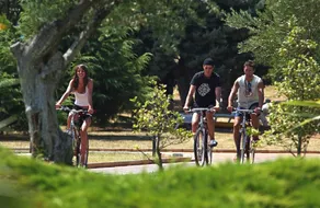Istrian Premium Village Holiday Homes - Image 5