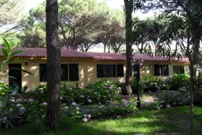 7 Ala Birdi Cottage 150m From The Sea - Image 5