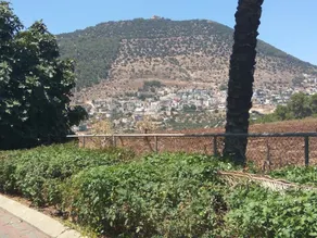 Tavorinio - Image 5