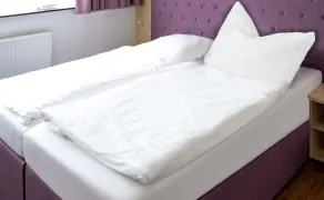 Hotel Relax Inn Gifhorn - Image 3
